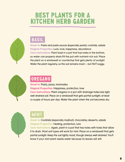 Kitchen Herb Garden